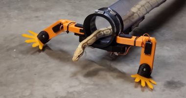 عاشق للأفاعى يبتكر روبوتا وأقداما آلية للثعابين تمكنها من المشى.. فيديو وصور