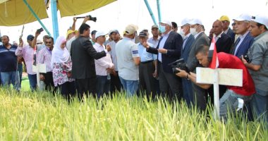 وزير الزراعة ومحافظ كفر الشيخ يطلقان فعاليات يوم الحقل السنوى للذرة والأرز