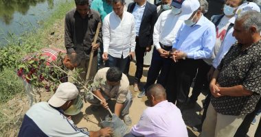 محافظ المنيا يشهد زراعة عدد من الأشجار على ترعة سرى باشا