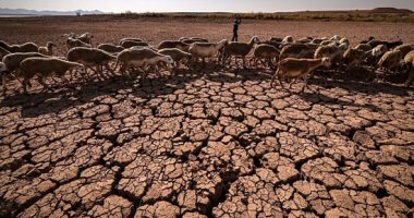 الأمم المتحدة تتوقع ارتفاع فرص الجفاف بـ3 دول أفريقية بدءا من أكتوبر المقبل
