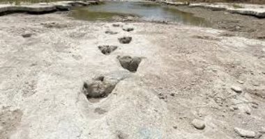 اكتشاف آثار ديناصورات عمرها 113 مليون سنة بعد جفاف نهر فى تكساس.. صور