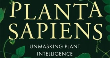 كتاب النبات الحكيم.. الكائنات الخضراء تتذكر حالات الجفاف ولها شخصيات مختلفة