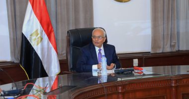 وزير التعليم يعتمد نتيجة امتحانات الترم الأول للمصريين بالخارج 