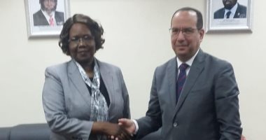 السفير المصرى لدى جوبا يلتقى وزيرة فى حكومة جنوب السودان