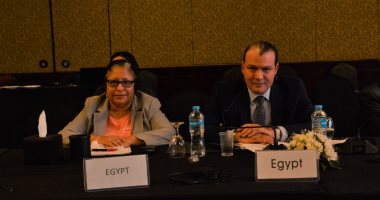 عرض تجربة مصر للتوسع فى اللامركزية خلال الدورة الرابعة للجنة وزراء التنمية المحلية الأفارقة