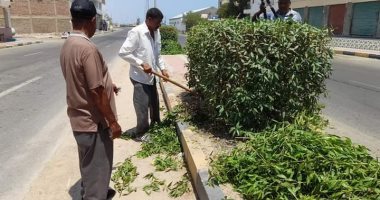 تهذيب أشجار حدائق وشوارع مدينة سفاجا ضمن مبادرة اتخصر للأخضر.. صور