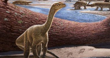عاش من 230 مليون سنة.. اكتشاف أقدم هيكل عظمى للديناصورات فى أفريقيا