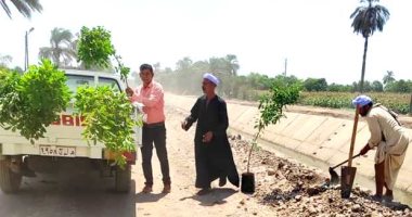 زراعة 3000 شجرة متنوعة بمركز ومدينة طهطا في سوهاج.. صور