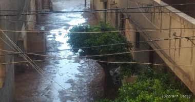 هطول أمطار غزيرة ومتوسطة على عدد من مدن وقرى كفر الشيخ.. صور