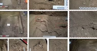 دراسة حديثة: البشر أجروا عمليات بتر الأطراف منذ العصر الحجرى.. صور