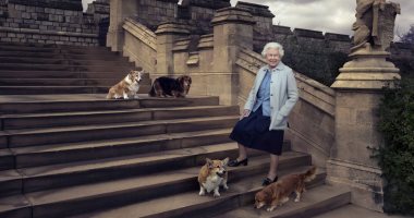 كلاب الملكة إليزابيث تجد منزلا ملكيا جديدا.. "‏BBC‏" تكشف التفاصيل