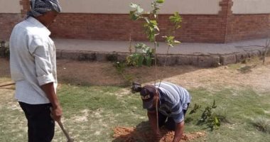 تطوير ورفع كفاءة طريق عبد الناصر ضمن مبادرة "100 مليون شجرة" بالإسكندرية