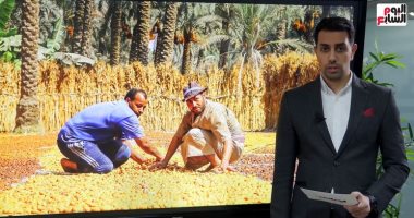المزارع المصرى شريك فى مواجهة تحديات الأمن الغذائى