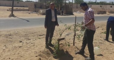 محافظ المنيا: زراعة الأشجار المثمرة على جانبي الطرق الرئيسية والصحراوي بسمالوط