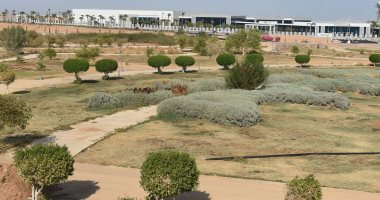 "التاسعة" من شرم الشيخ: مدينة السلام أصبحت خضراء صديقة للبيئة وتستعد لمؤتمر المناخ