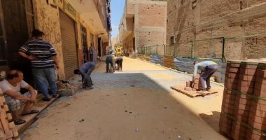 محافظة الجيزة تبدأ تطوير شوارع أرض اللواء والعجوزة.. صور