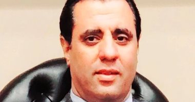 الطريق للجمهورية الجديدة عصام محمد عبد القادر