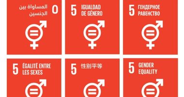 الأمم المتحدة تحتفل بيوم المساواة فى الأجور بإلقاء الضوء على الهدف الخامس للتنمية