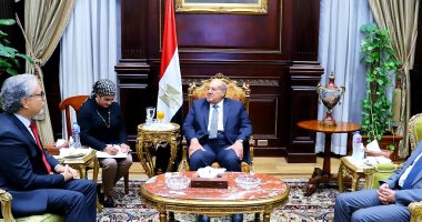 رئيس مجلس الشيوخ يلتقى سفير صربيا بالقاهرة  