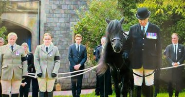 "إيما" حصان الملكة إليزابيث المفضل يقف أثناء مرور موكب نعش الملكة.. صور