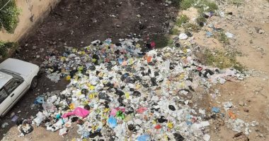شكوى من تراكم القمامة في شارع هارون الرشید بطنطا.. ورئيس الحي يستجيب