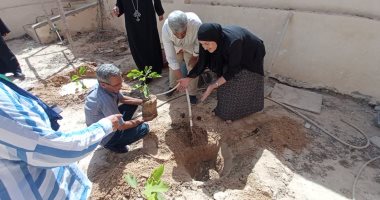 شمال سيناء تنفذ مبادرة اتحضر للأخضر.. ومتطوعون يزرعون تينا وزيتونا بمطرانية العريش