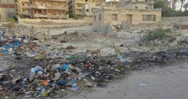 شكوى من تراكم القمامة فى شارع محمود سعيد بالإسكندرية.. والشركة ترد