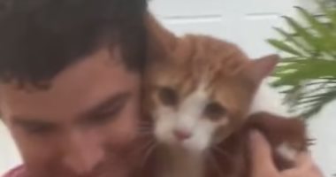 موقف إنسانى.. رجل ينقذ قطة من الموت فى إعصار إيان بفلوريدا.. فيديو وصور