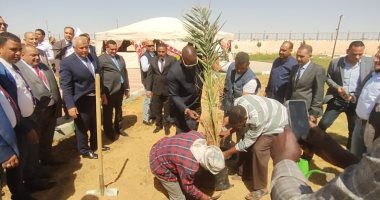 وزير التنمية المحلية يستهل زيارته للوادى الجديد بغرس شجرة نخيل ضمن مبادرة ازرع نخلة
