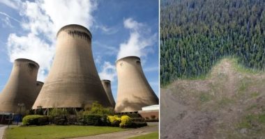 شركة محطات طاقة بريطانية "صديقة للبيئة" تدمر الغابات الكندية