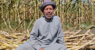 "زراعة الشرقية" تعلن حصاد 140 ألف فدان من المساحات بمحصول الذرة
