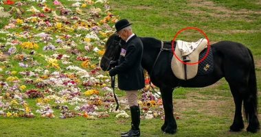 قصر باكنجهام يكشف عن صورة جديدة للحصان المفضل لدى الملكة الراحلة إليزابيث