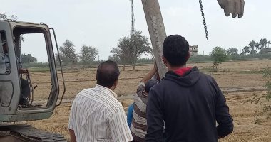تركيب أعمدة كهرباء لإنارة الطرق والمداخل الرابطة بين قرى الدقهلية