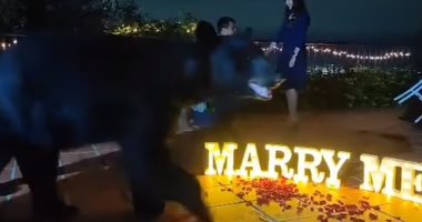 دب أسود يقاطع لحظة رومانسية لمكسيكى يعرض الزواج على حبيبته.. علامة يا مارد