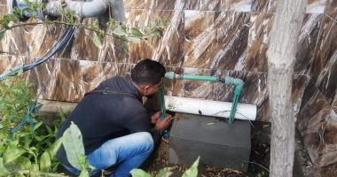 "مياه الإسكندرية" تشن حملات لإزالة التعديات على شبكة المياه فى منطقة النزهة