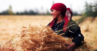 فى يومها العالمى.. جهود تمكين وتوعية المرأة الريفية فى مصر (فيديو)