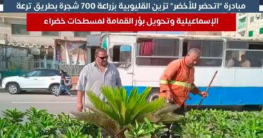 مبادرة "اتحضر للأخضر" تزين القليوبية بزراعة 700 شجرة بطريق ترعة الإسماعيلية.. فيديو