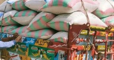 ضبط 11 طن أرز بحوزة مزارع وصاحب مخزن بكفر الشيخ