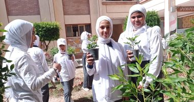 مدارس شمال سيناء تتنافس بأفكار إبداعية فى تنفيذ مبادرة اتحضر للأخضر.. صور