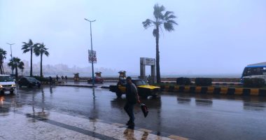 أمطار غزيرة على مناطق متفرقة فى الإسكندرية.. صور