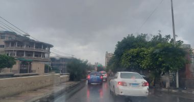 طقس الإسكندرية.. أمطار متوسطة على مناطق متفرقة.. صور