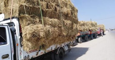 تحرير 47 محضرا ضد مزارعين لعدم توريد 122 طن أرز شعير بالبحيرة