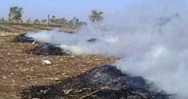 "سوهاج": تحرير 38 محضر مخالفة بيئية لحرق المخلفات الزراعية