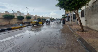 هطول أمطار متوسطة على مناطق متفرقة بالإسكندرية.. صور