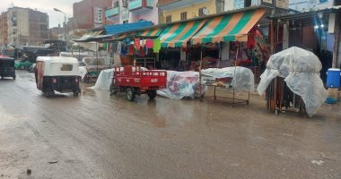 طقس الإسماعيلية.. أمطار خفيفة على مراكز ومدن المحافظة.. صور