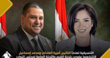 التنسيقية تهنئ النائبين أميرة العادلى ومحمد إسماعيل لاختيارهما بلجنة القيم بمجلس النواب