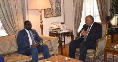 وزير الخارجية يبحث مع نظيره الجامبى تعزيز العلاقات الثنائية بين البلدين