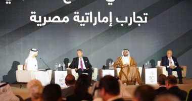 مصرفيون: وجود البنوك الإماراتية والعالمية فى مصر دليل على قوة اقتصادها