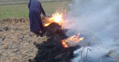 تحرير 60 محضرا لمزارعين لحرقهم قش الأرز فى الشرقية