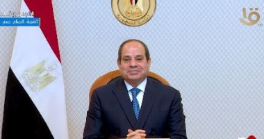 الرئيس السيسى: الشعبان المصرى والإماراتى دائما على قلب رجل واحد